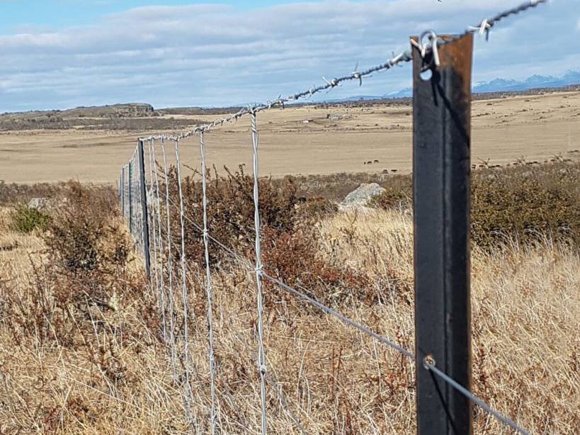 bitumen-y-post-hold-fences